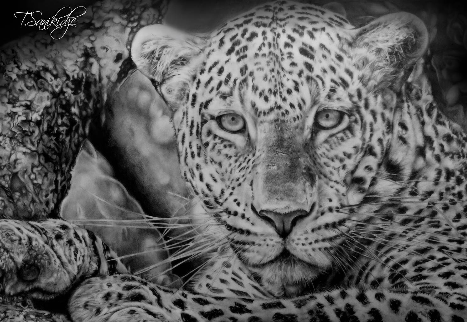 Georgian artist’s hyper-realistic pencil drawings exhibited in New York geotv.ge